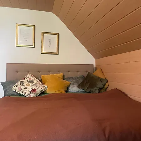 Im Herzen Des Hotzenwalds Apartment Rickenbach (Baden-Wurttemberg)