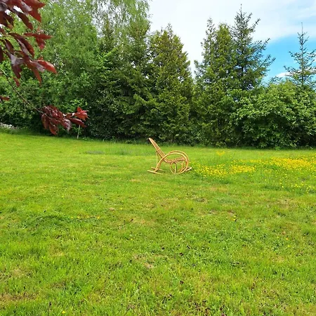 Im Herzen Des Hotzenwalds * 里肯巴赫