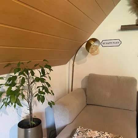 Im Herzen Des Hotzenwalds 里肯巴赫