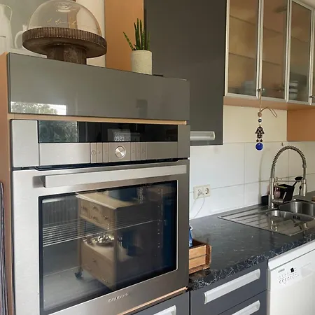 Im Herzen Des Hotzenwalds Apartment Rickenbach (Baden-Wurttemberg)