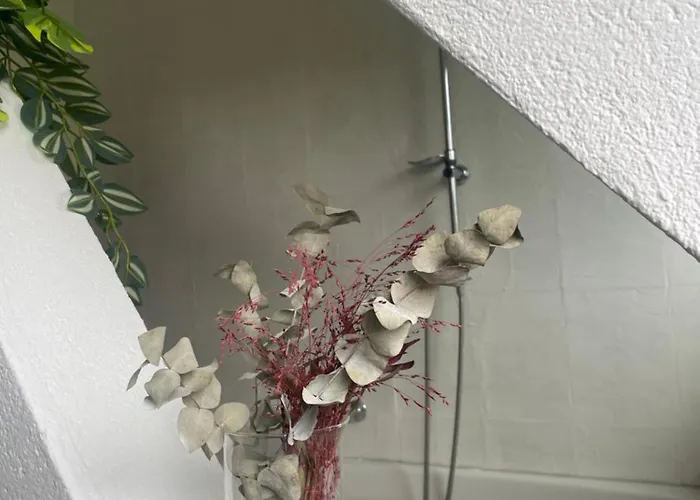 Im Herzen Des Hotzenwalds Rickenbach (Baden-Wurttemberg)