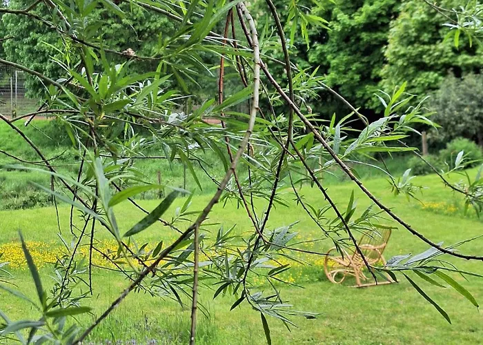 Daire Im Herzen Des Hotzenwalds *