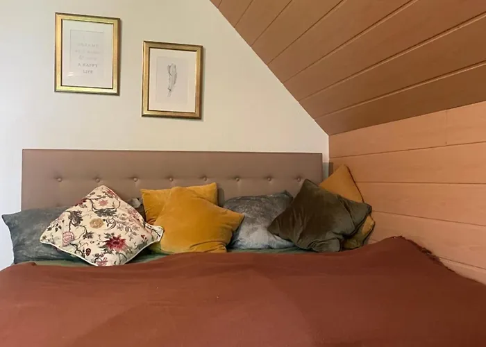 Im Herzen Des Hotzenwalds Daire Rickenbach (Baden-Wurttemberg)