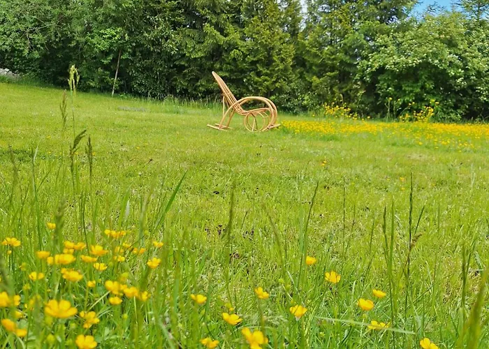 Im Herzen Des Hotzenwalds Daire Rickenbach (Baden-Wurttemberg)